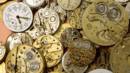 Frau Ebners scharfer Blick